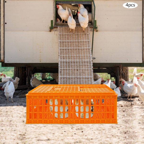 71uM46fowtL._AC_SL1500_.jpg Stackable Chicken Transport Cages