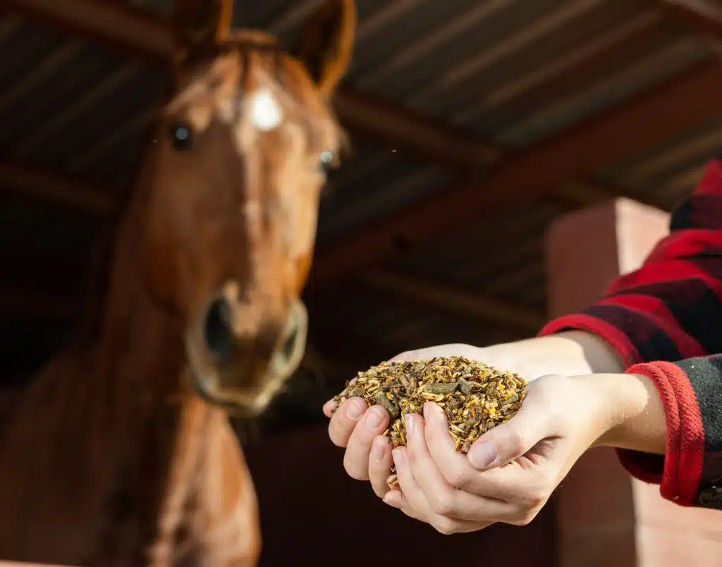 Quality livestock feed